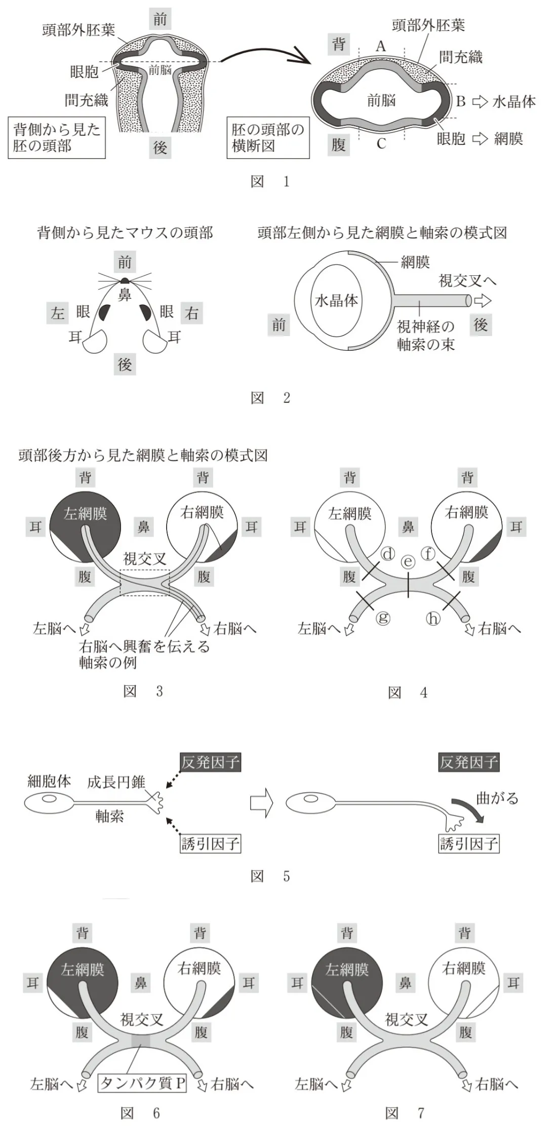 問題文の画像