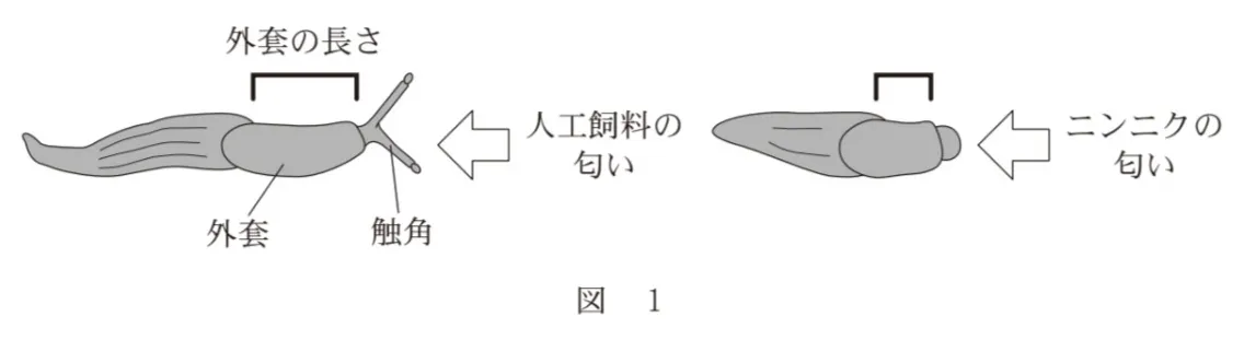 問題文の画像