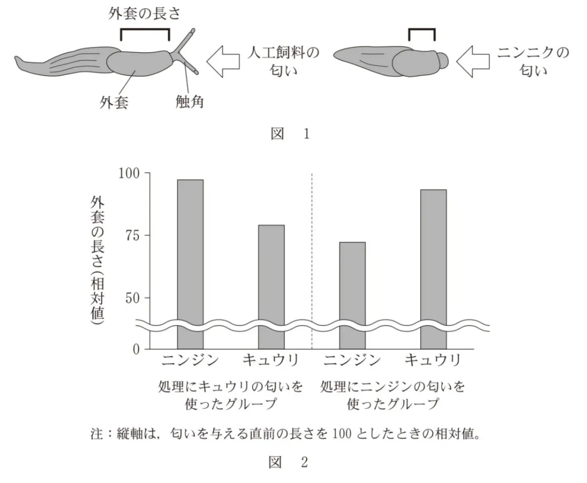 問題文の画像