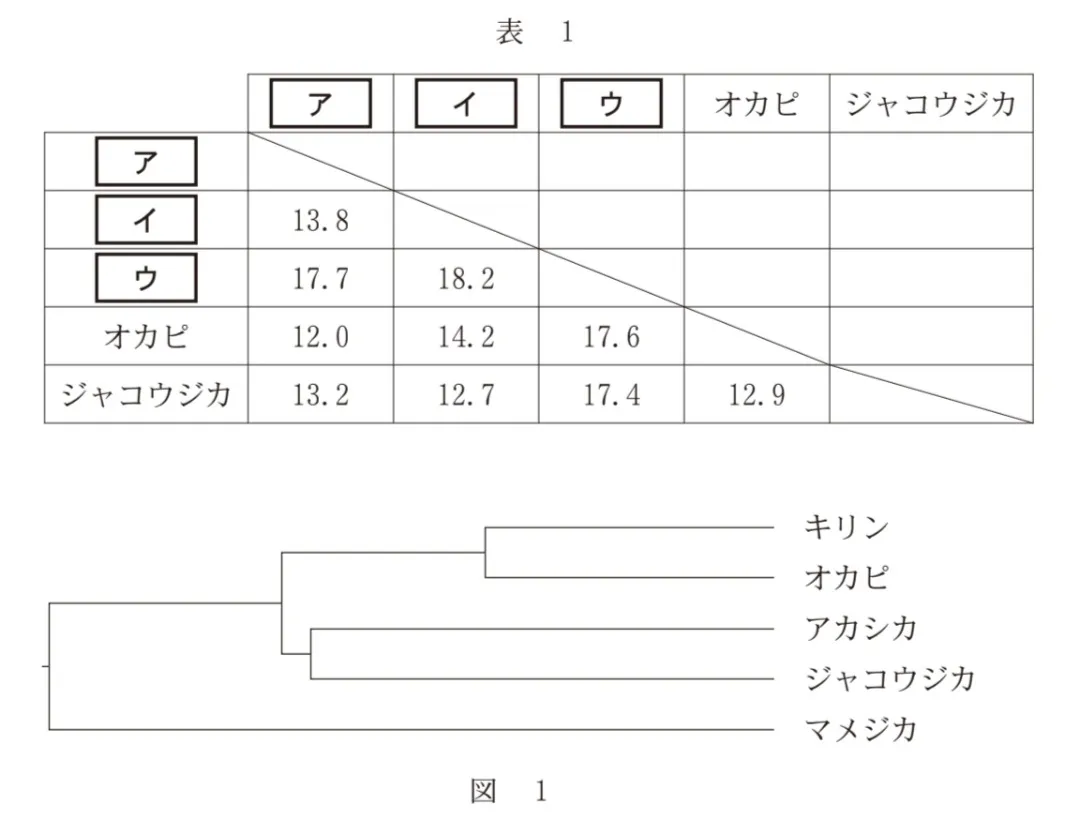 問題文の画像