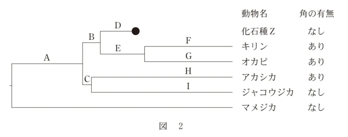 問題文の画像