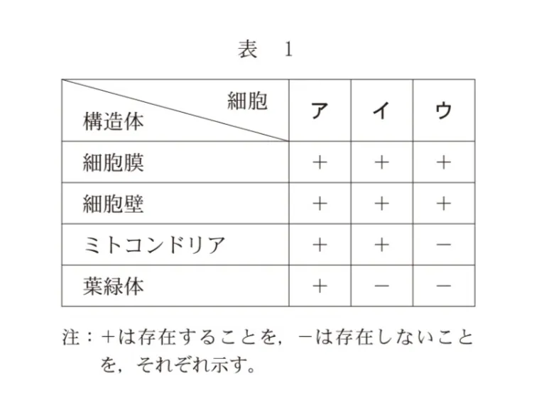問題文の画像