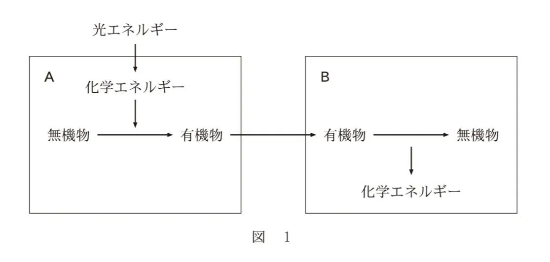 問題文の画像