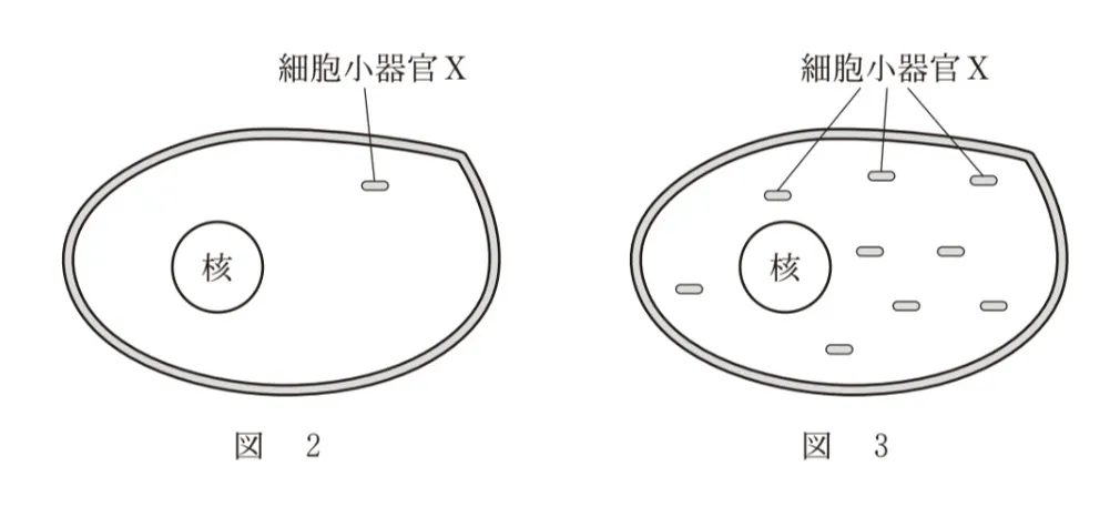 問題文の画像