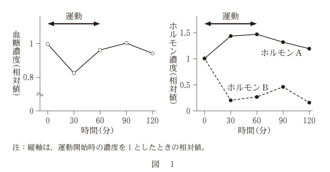問題文の画像
