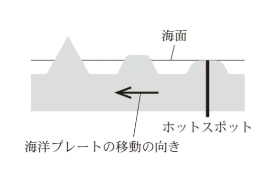 解答選択肢の画像