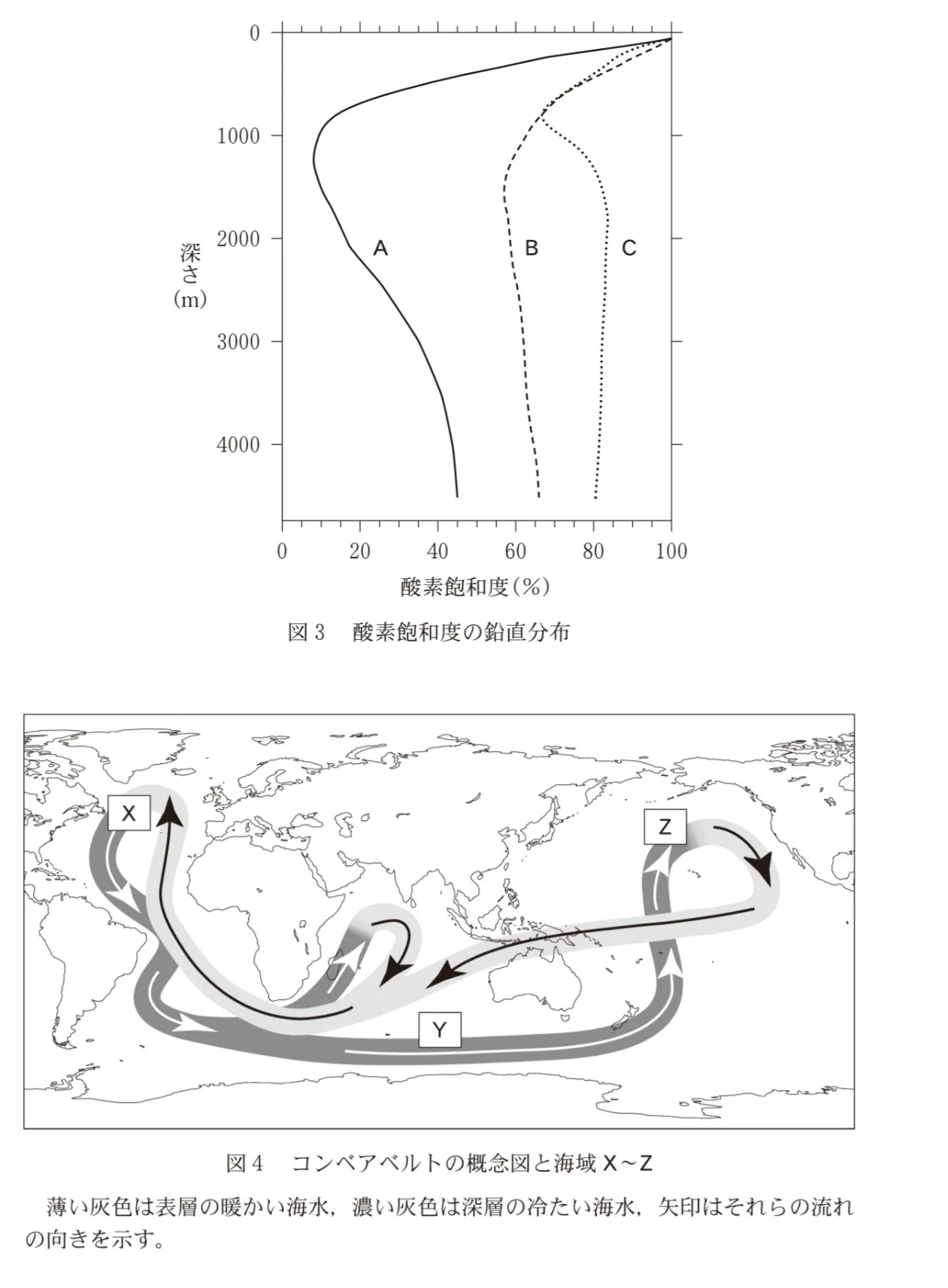 問題文の画像