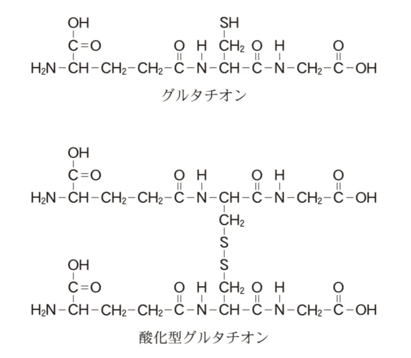 問題文の画像