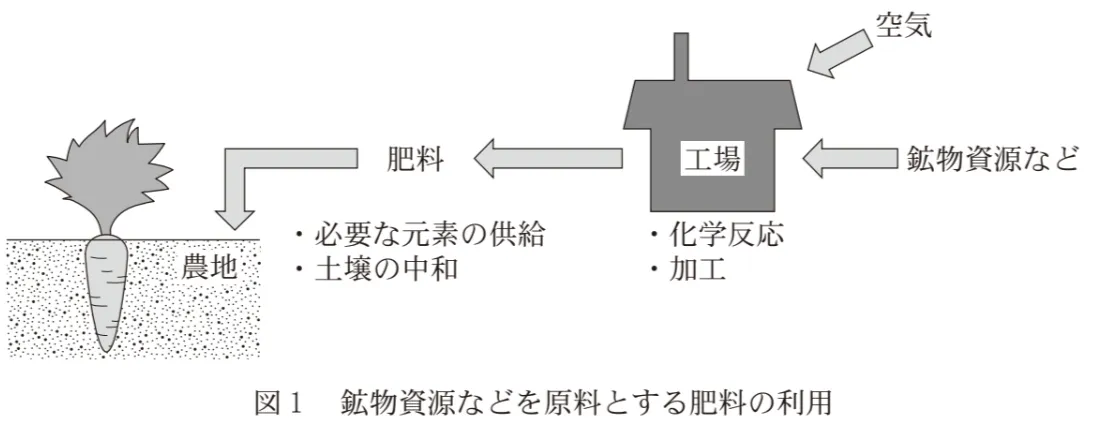 問題文の画像