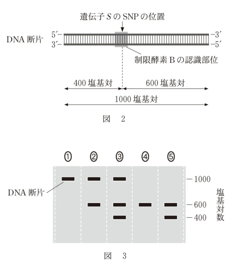 問題文の画像