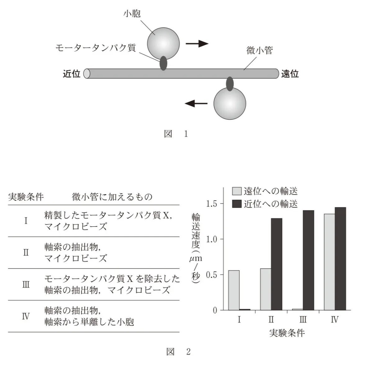 問題文の画像
