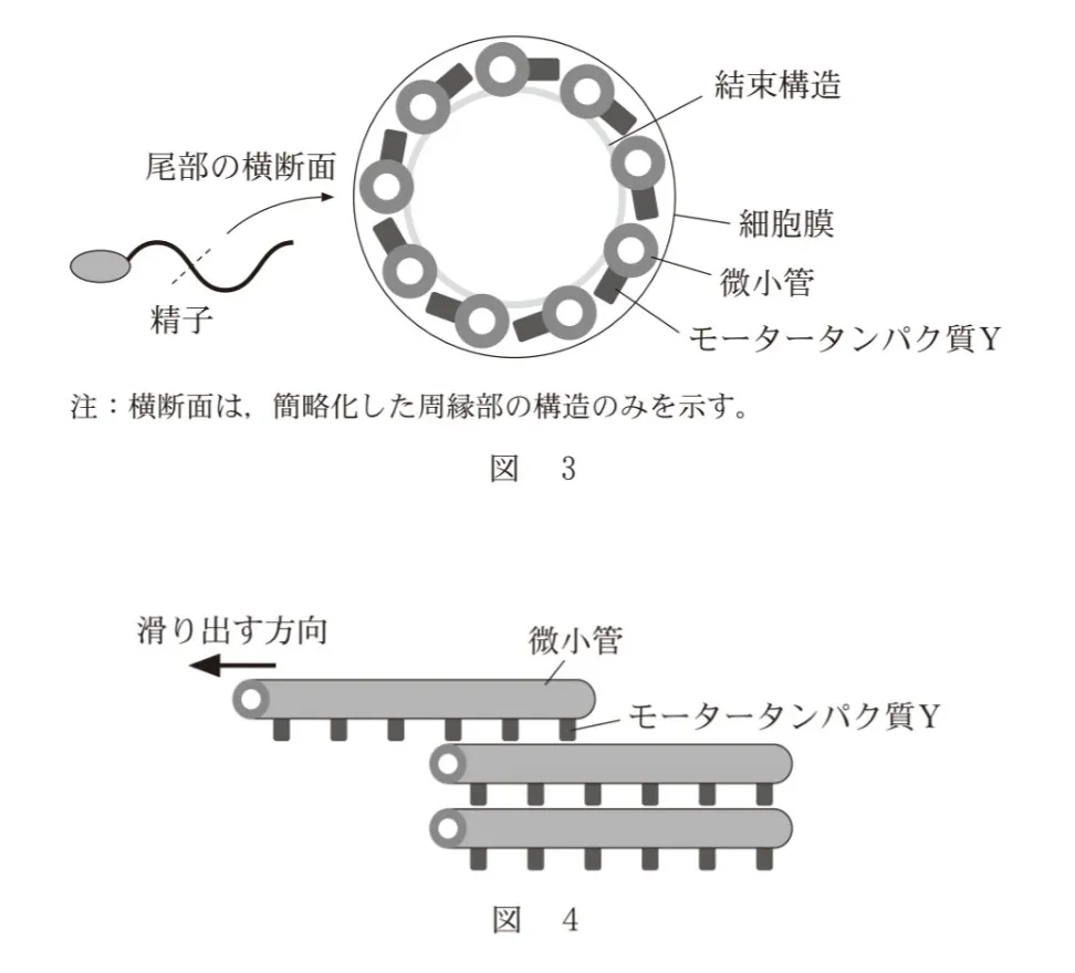 問題文の画像