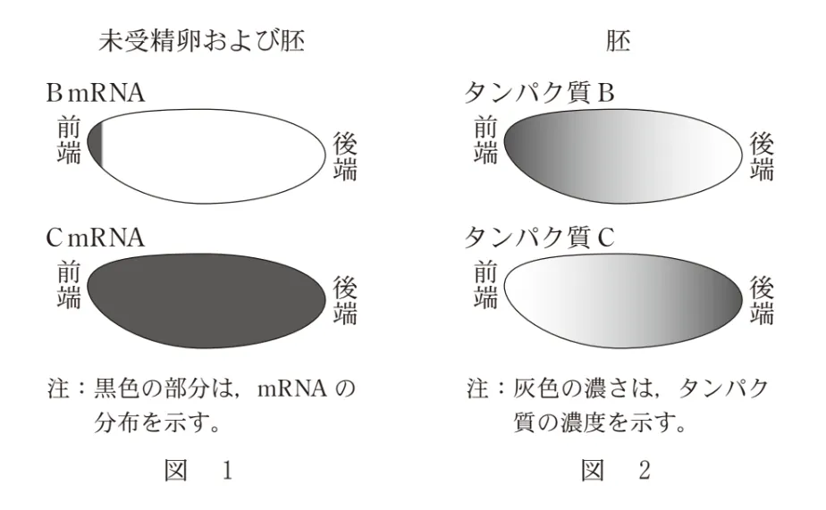 問題文の画像