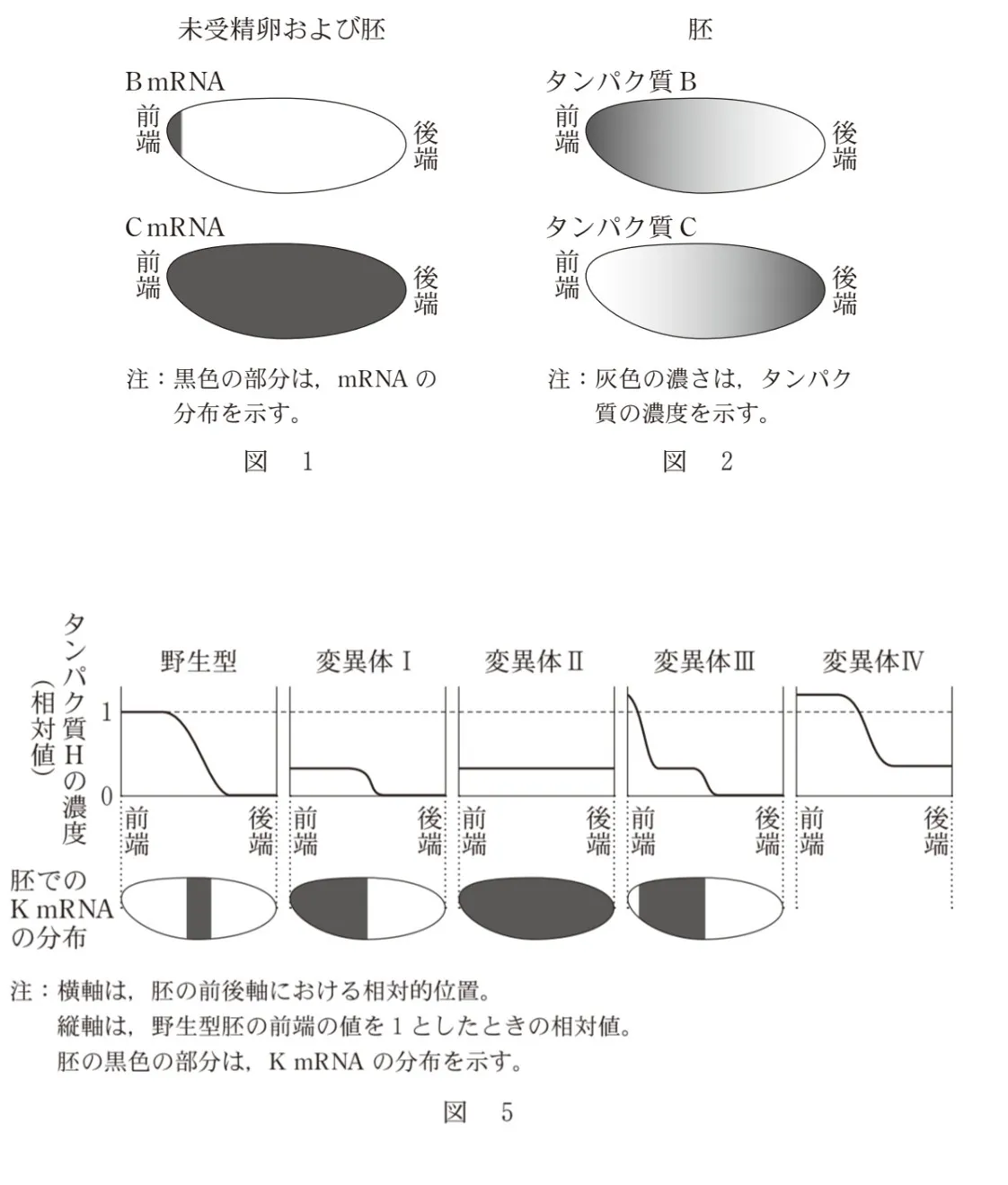 問題文の画像