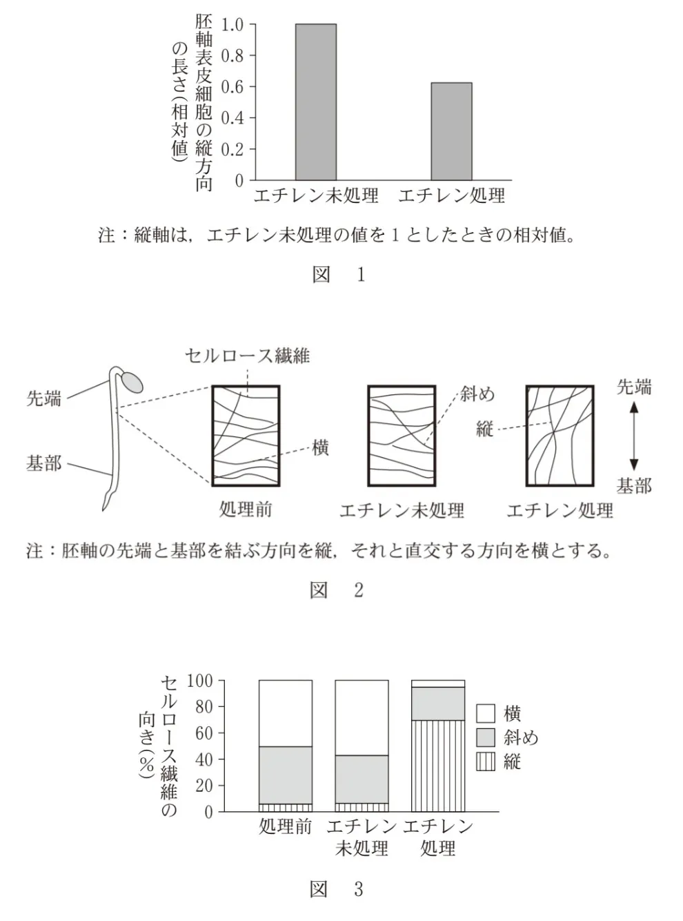 問題文の画像