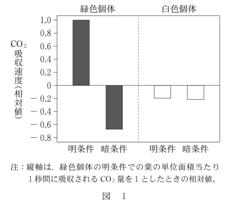 問題文の画像