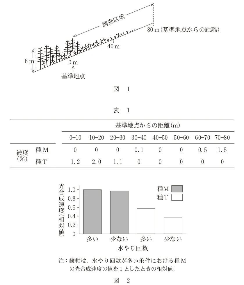 問題文の画像