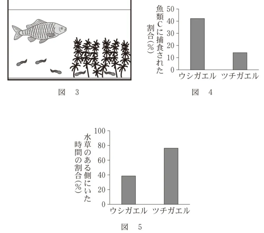 問題文の画像