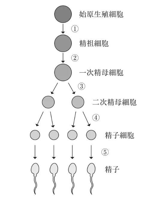 問題文の画像
