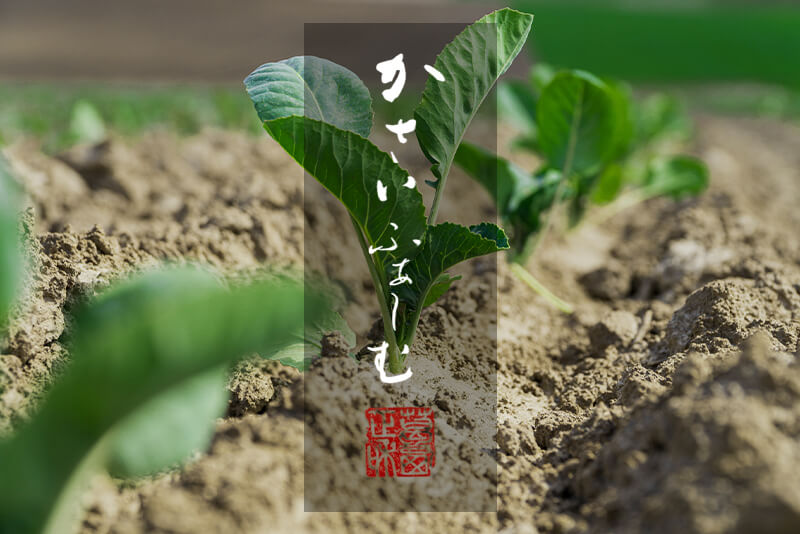 かさいふぁーむのイメージ