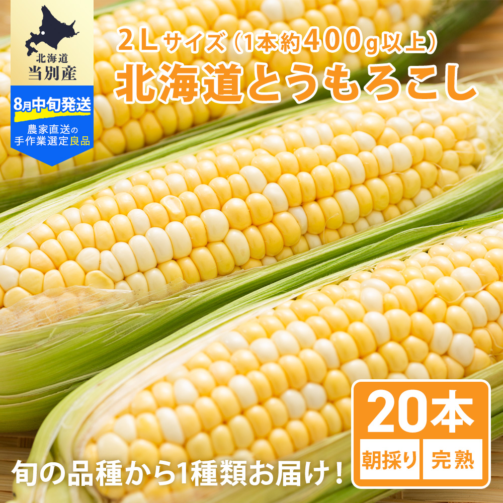 手作業選定！北海道当別産の朝採りとうもろこし2Lサイズ 20本｜PREZO