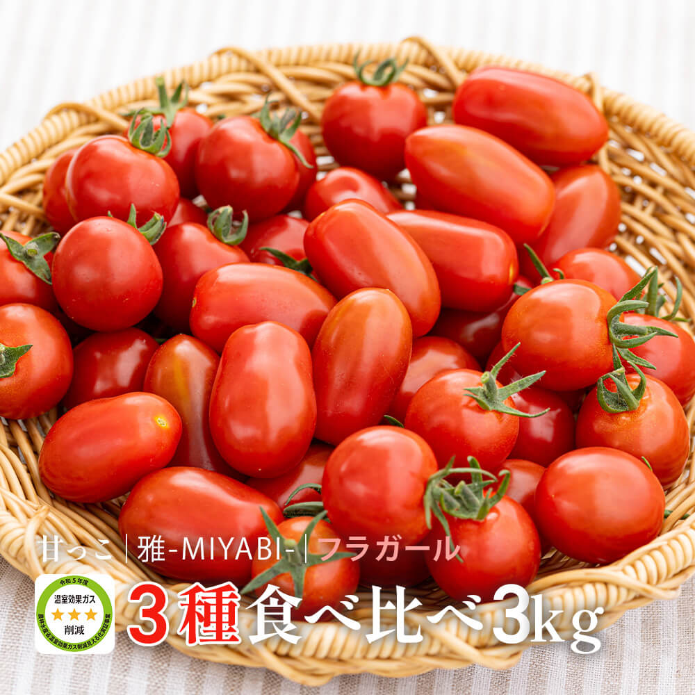 トマトん王子 8fcdb3c2bdc056ff5f4f4b2f905765