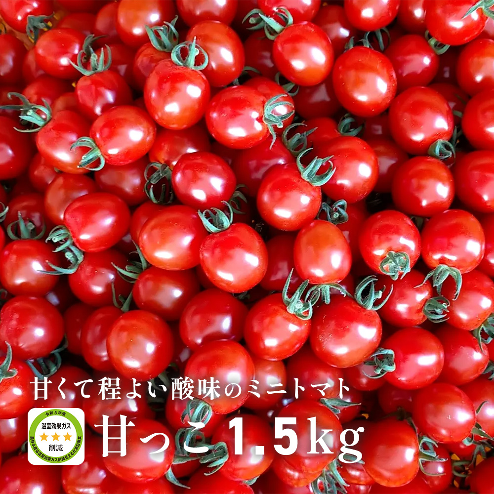 長野県産直 ミニトマト 約5kg バラ 甘くて味が濃い 長野県産直 ミニトマト 約5kg バラ 甘くて味が濃い - メルカリ