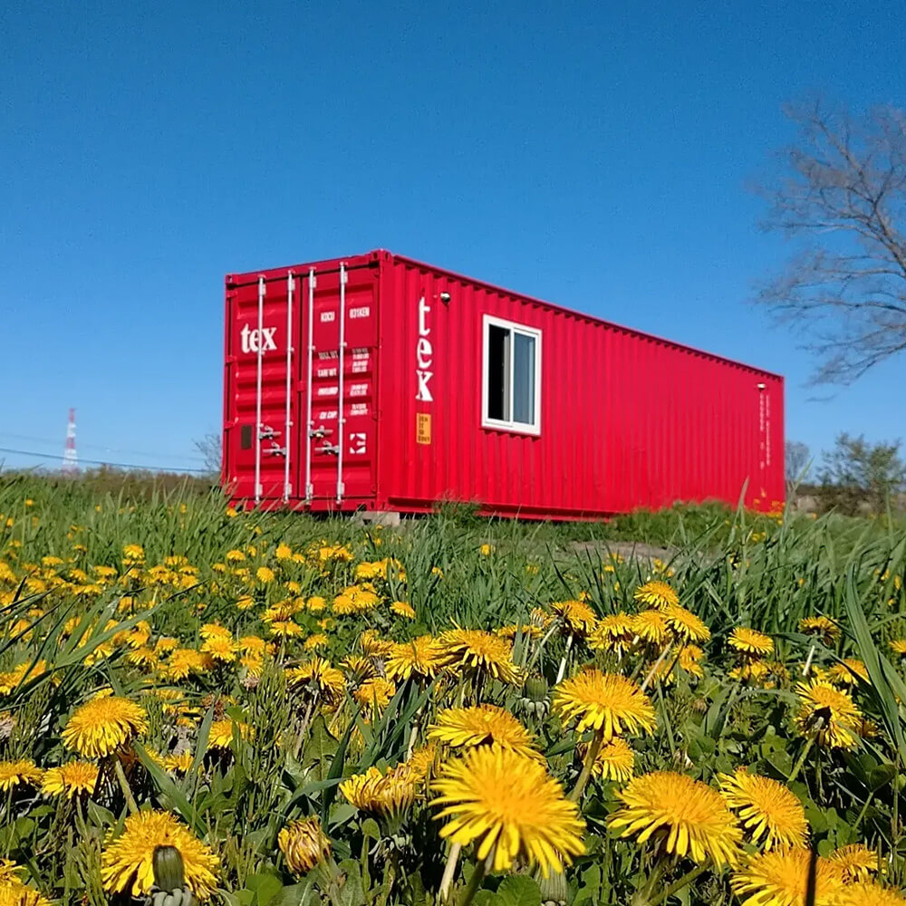 北海道当別産ミニトマト3種食べ比べ（甘っこ・雅・フラガール）計1.5kg