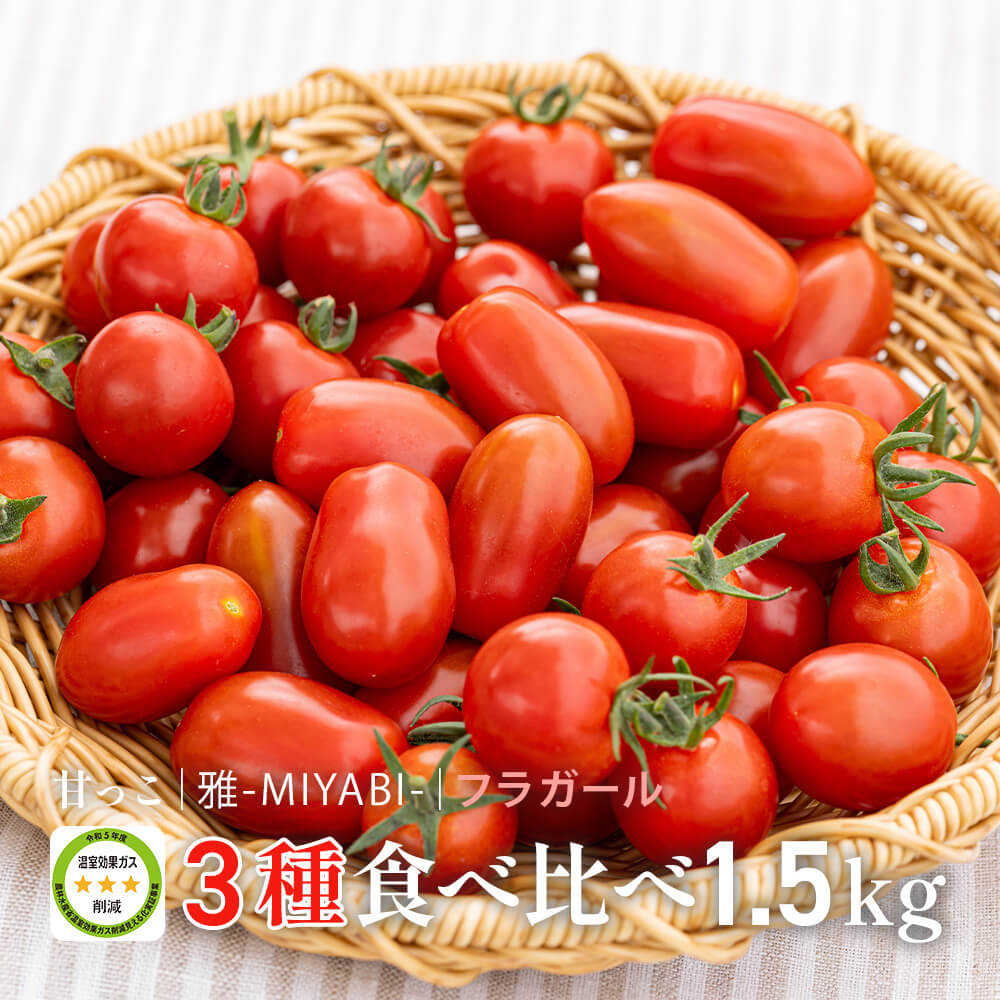 ミニトマト　美味しい　12㎏ 楽天市場】【甘味と旨味のバランスが最高】ミニトマト