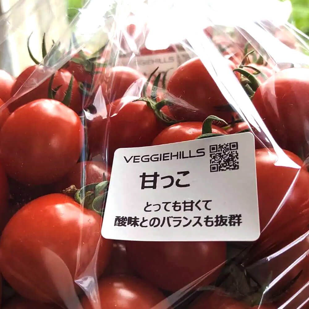 北海道当別産ミニトマト4種食べ比べ 1.4kg（甘っこ・雅MIYABI