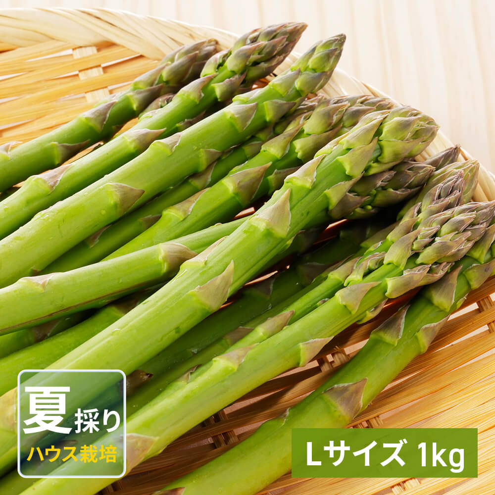 夏採りハウスアスパラガス Lサイズ 1kg｜PREZO(プレゾ) - 北海道
