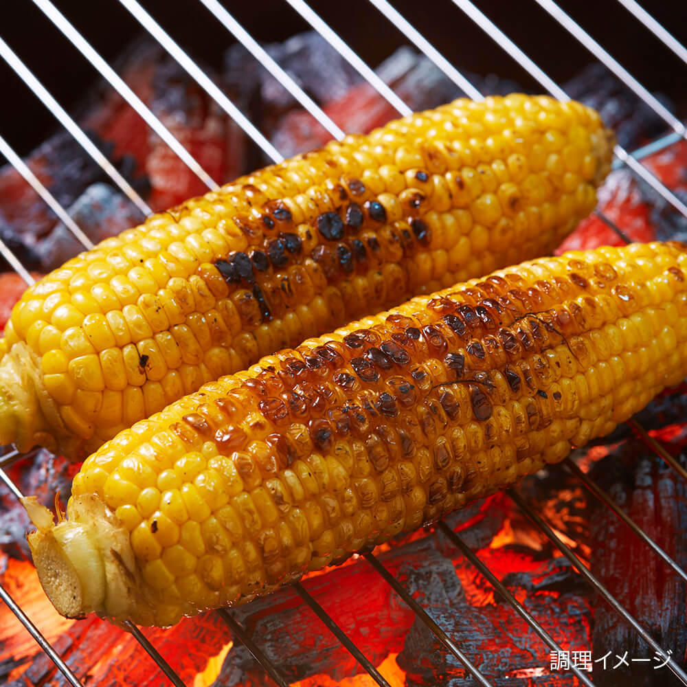 朝採れ！北海道産とうもろこし ほしつぶコーン10本｜PREZO(プレゾ