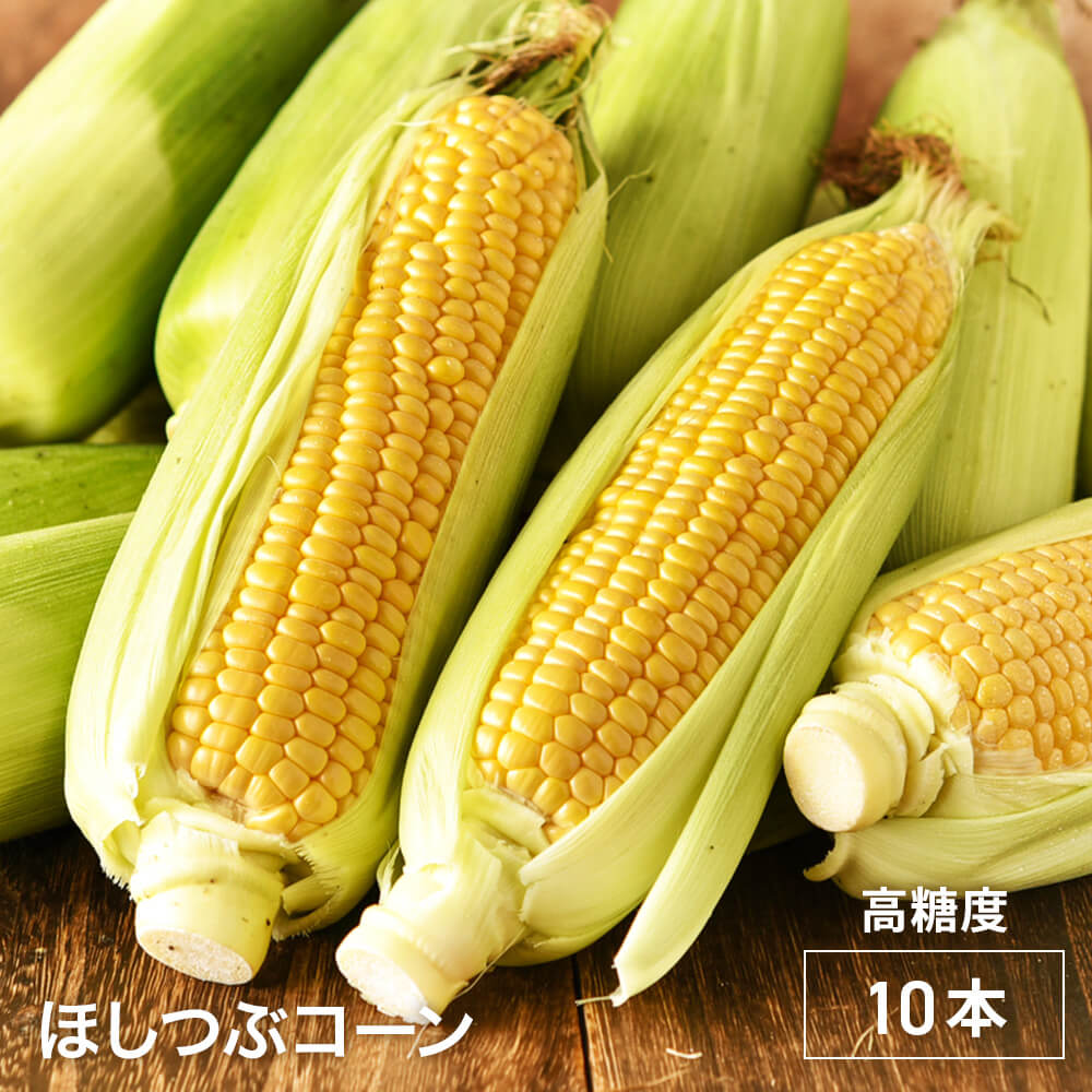 朝採れ！北海道産とうもろこし ほしつぶコーン10本｜PREZO(プレゾ
