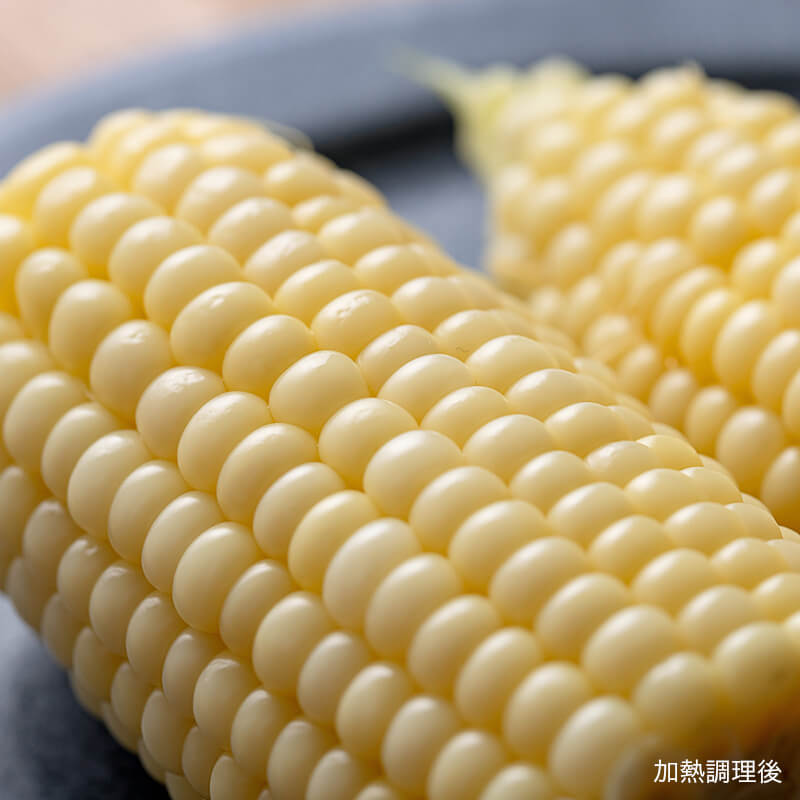 新鮮 白トウモロコシ 幻の白いとうもろこし ホイップコーン8本｜PREZO(プレゾ