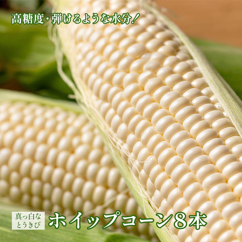 ホイップコーン 5000粒以上 000000000825_s7cJrdF.jpg