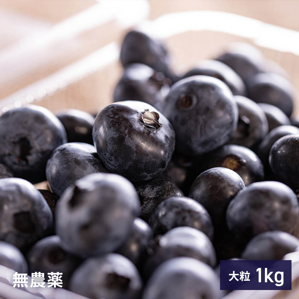 北海道当別産の無農薬ブルーベリー 1kg｜PREZO(プレゾ) - 北海道のお