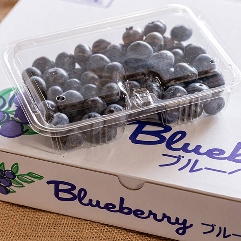 専用‼️北海道産 ブルーベリー 無農薬 1kg 送料込 フルーツ ふるさと 果物 Amazon.co.jp: 予約商品 令和7年産 無添加 冷凍ブルーベリー 1kg