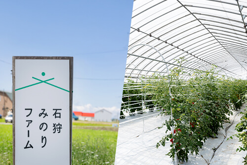 農薬を控えてトマトにも人にも優しくのイメージ