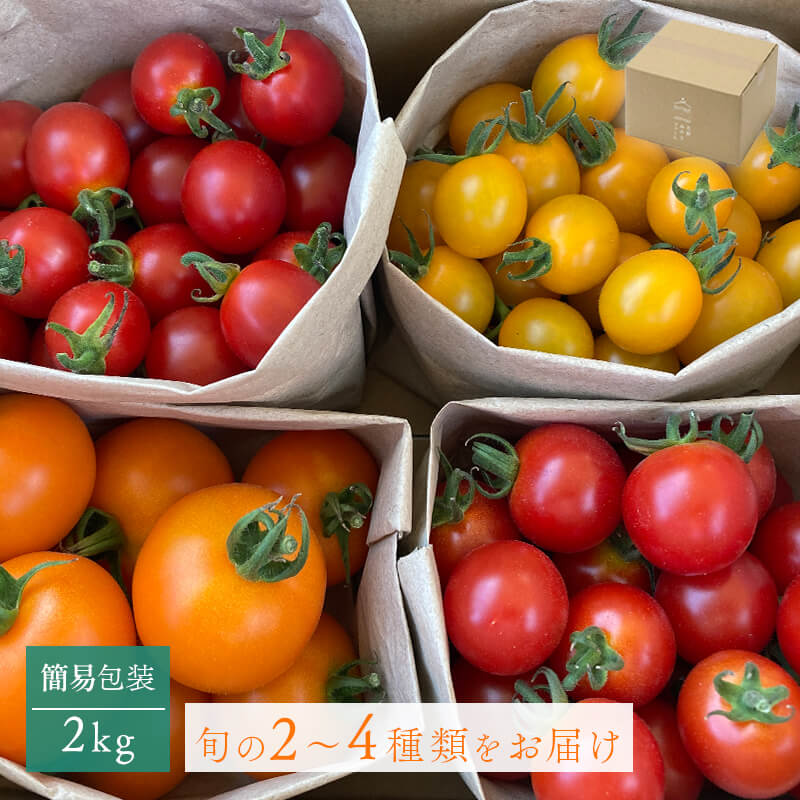 石狩みのりファームのミニトマト 2kg（簡易包装）｜PREZO(プレゾ