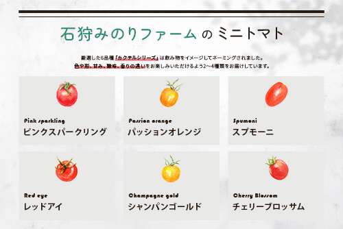 海からの風を浴びて育つミニトマトのイメージ