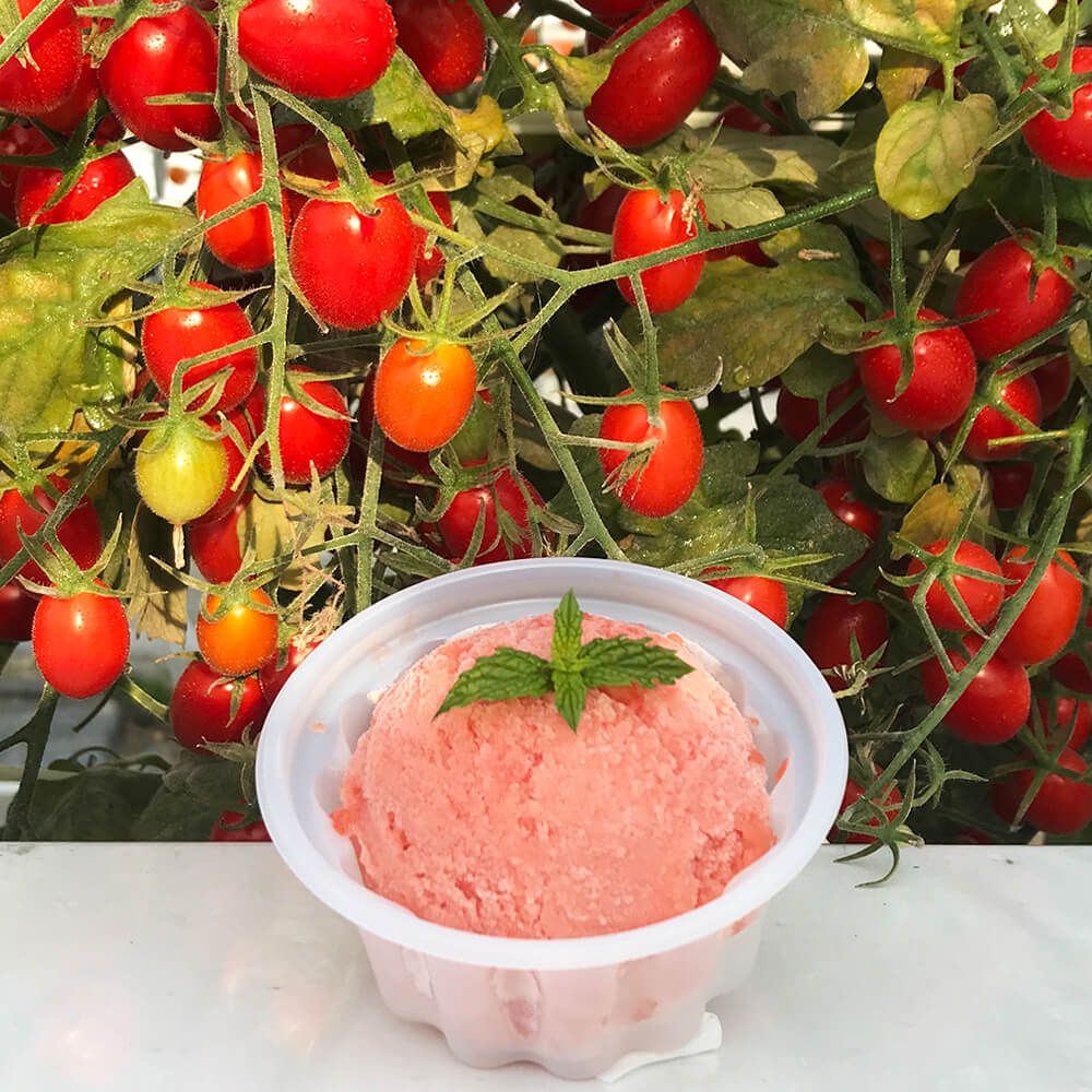 農家のアイス GELATOMA（トマト＆ピーチ）18個入【ジェラトマ】｜PREZO