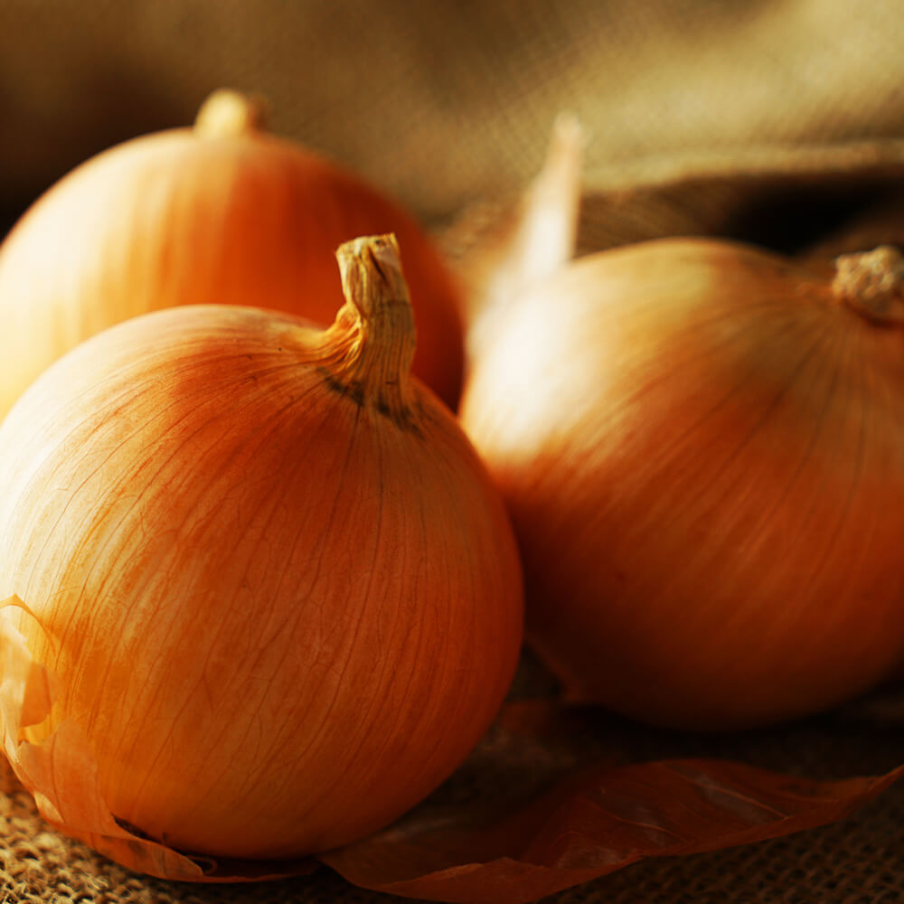 北海道新篠津村の玉ねぎ5kg｜PREZO(プレゾ) - 北海道のお取り寄せ