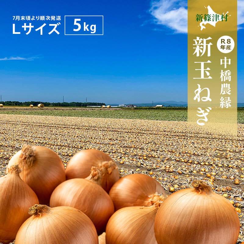 北海道新篠津村の玉ねぎ5kg