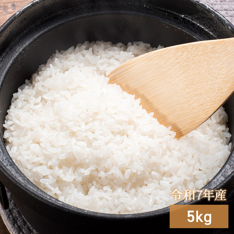 北海道特別栽培米ななつぼし5kg（無洗米）【令和7年産】