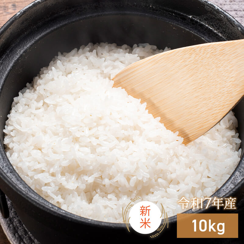 北海道特別栽培米ななつぼし10kg（無洗米）【令和7年産】｜PREZO