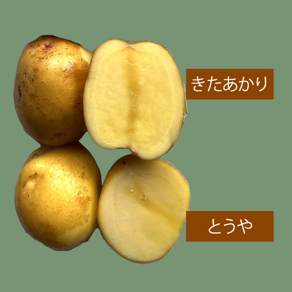 ほっくほく♪北海道産じゃがいも【きたあかり】10kg｜PREZO(プレゾ
