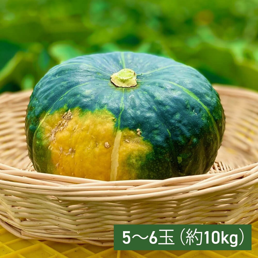 ほくほく甘い。北海道産かぼちゃ5～6玉（約10kg）｜PREZO(プレゾ