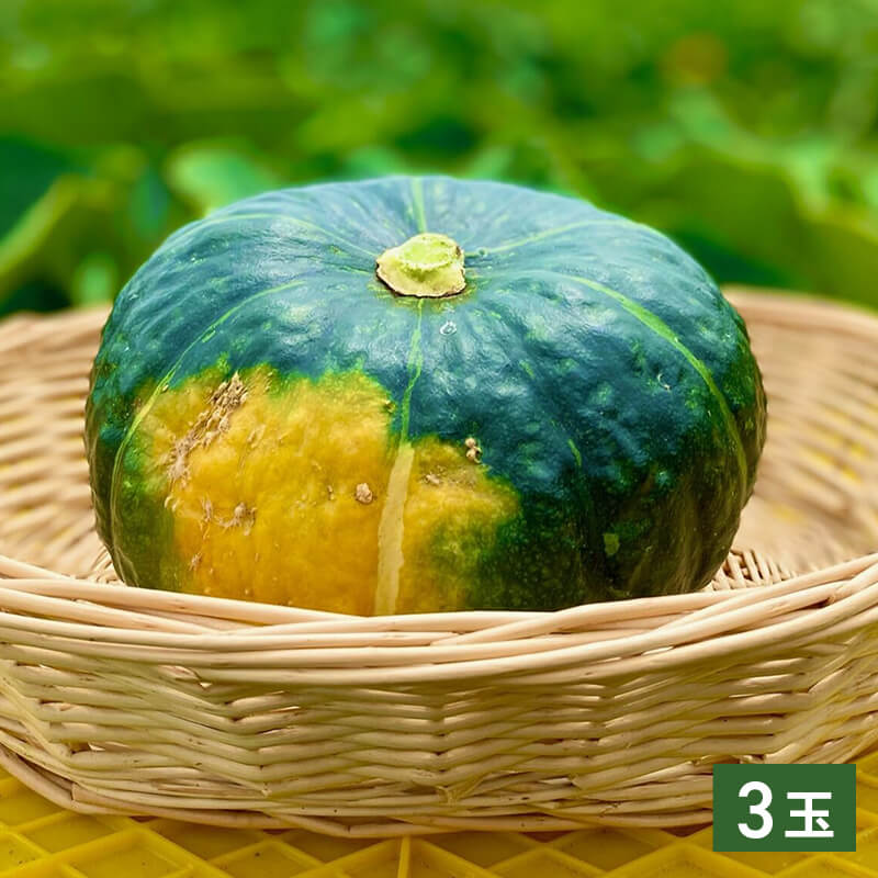 ほくほく甘い。北海道産かぼちゃ3玉