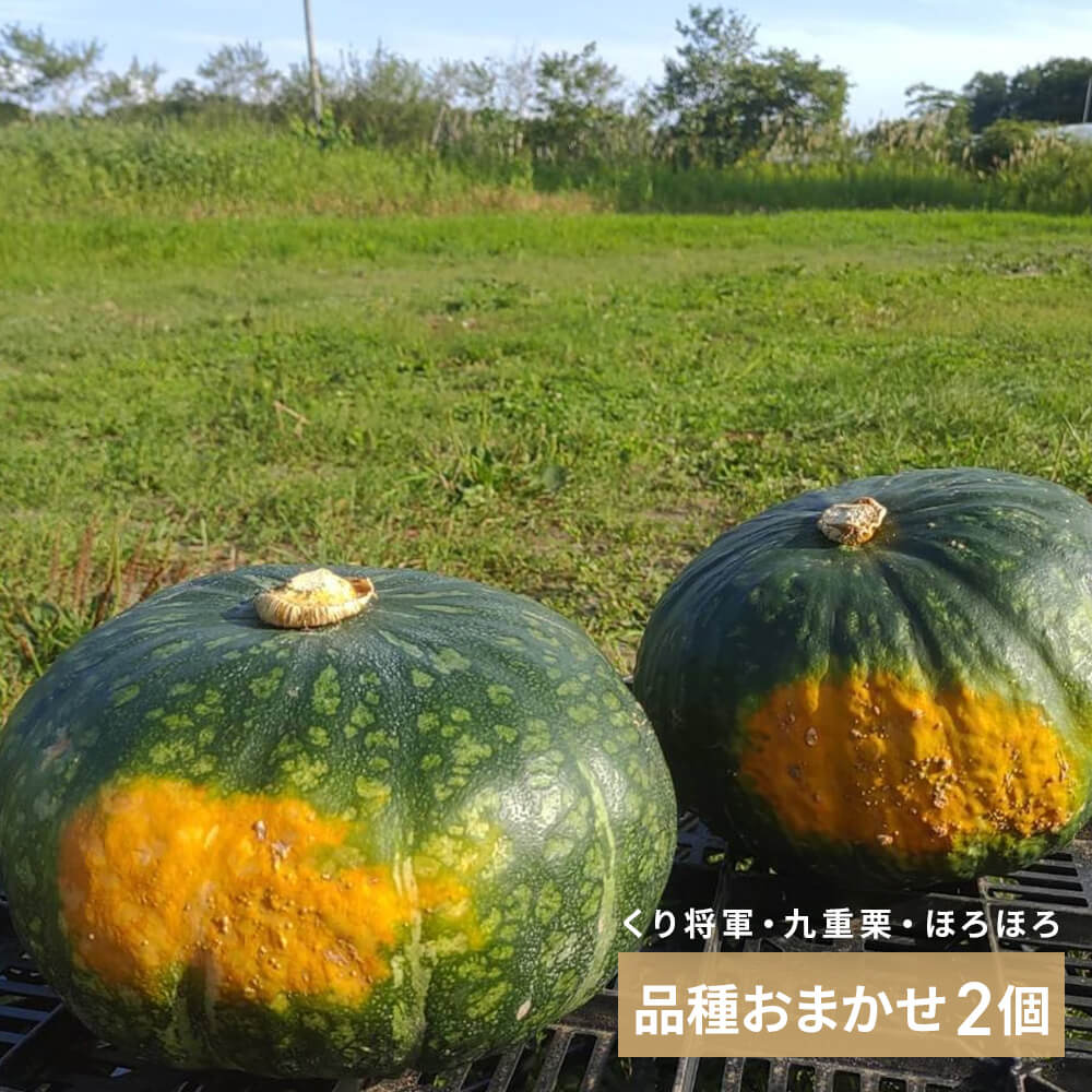 北海道産 栗かぼちゃ おまかせ2個セット｜PREZO(プレゾ) - 北海道のお