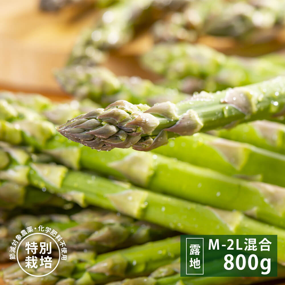 朝採りグリーンアスパラ800g [M～2L混合]｜PREZO(プレゾ) - 北海道のお